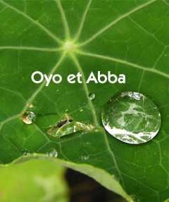 affiche-spectacle-oyo-et-abba